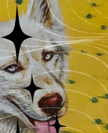 A white husky painted against chrome yellow
