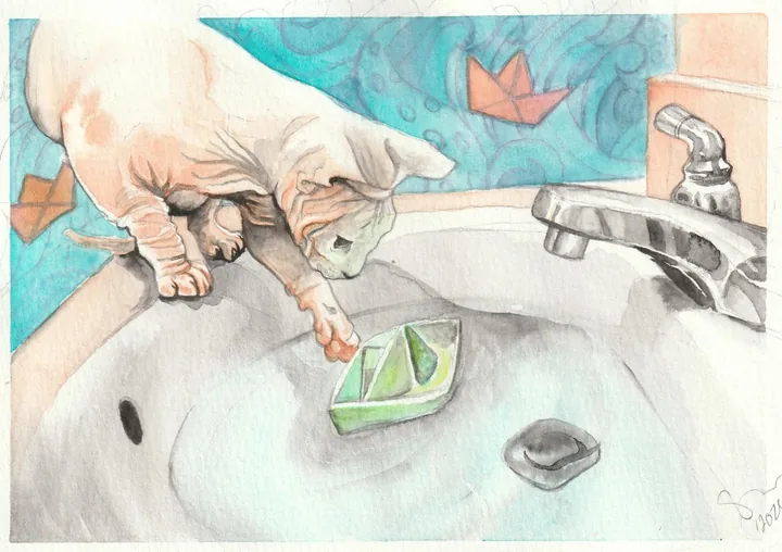 Watercolour of a pale hairless cat leaning into a basin to reach a folded green paper boat, a tap and teal tiles behind
