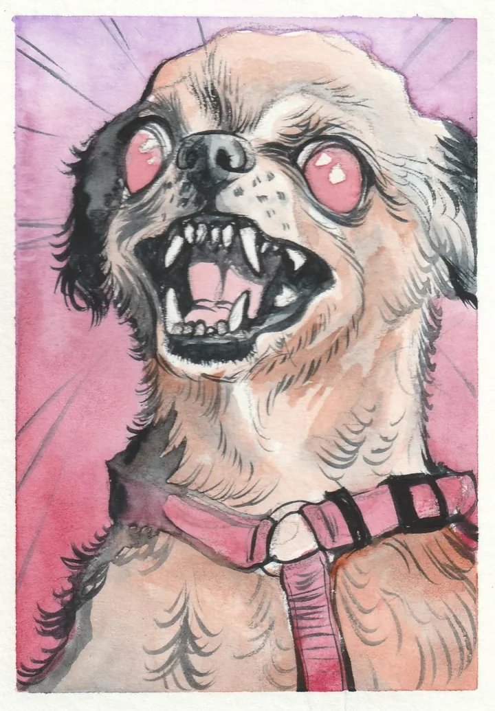 Watercolour portrait of a small long haired dog in a pink harness, teeth bared, against pink and purple rays