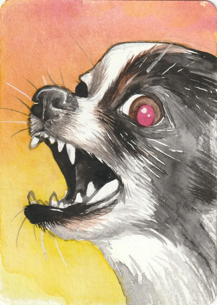 A black and white animal snarling in profile with one pink eye, painted on orange and yellow